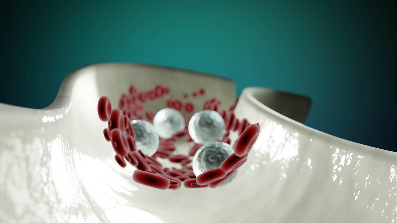 Apa itu sistem cardiovascular yang terdiri dari jantung, pembuluh darah, dan darah