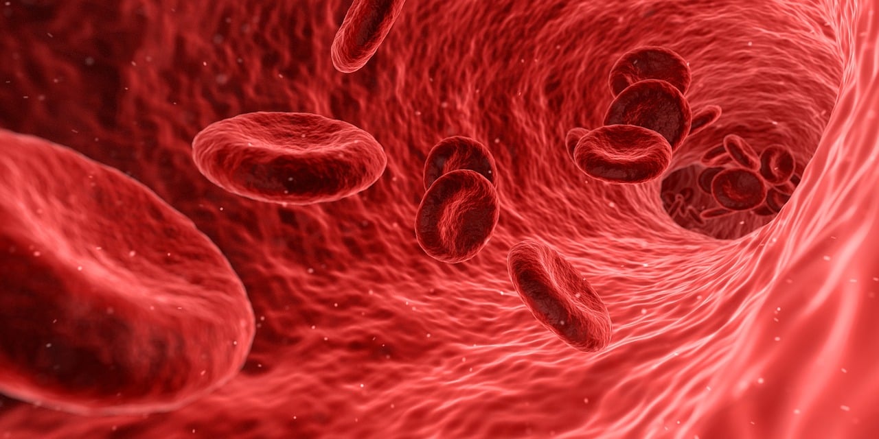 Fungsi sistem cardiovascular bagi kesehatan tubuh dalam mengangkut oksigen, nutrisi, hormon, dan membuang racun metabolik