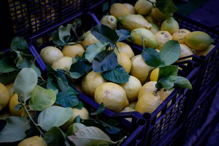 Makanan alami seperti buah, sayuran, dan kacang-kacangan yang membantu meningkatkan energi tubuh dan menyeimbangkan emosi